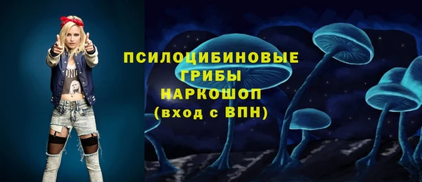 индика Нефтегорск