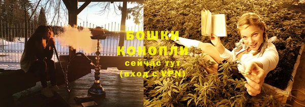 индика Нефтегорск