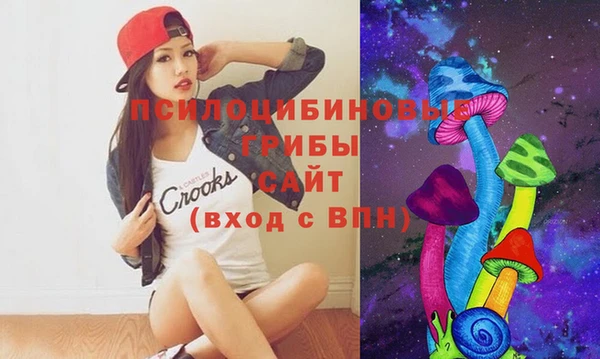хмурый Надым